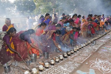 Kadınlar Tamil Nadu 'da Pongal festivalini kutluyor; Hindistan