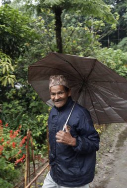Şemsiye tutan kırsal adam, Pastanga, Sikkim, Hindistan 