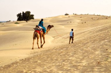 Hindistan Asya 'daki Rajasthan devesini sürükleyen çocuk. 