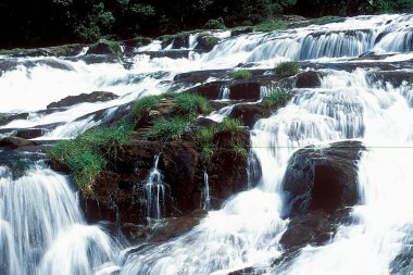 Pykara nehri Nilgiris 'e dökülür; Ooty; Ootacamund; Udhagamandalam; Tamil Nadu; Hindistan