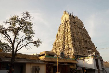 Kamakshi Amman Tapınağı, Kanchipuram kancheepuram, Tamil Nadu, Hindistan 