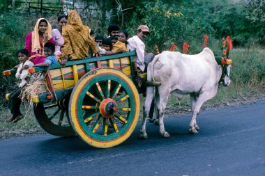 Hindistan 'da Bullock Cart