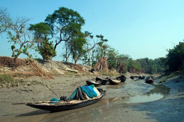 Nehir kenarındaki tekneler Hindistan Asya 