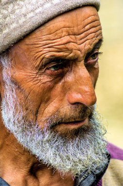 Kaşmirli adam, Dawar köyü, Gurez, Bandipora, Kaşmir, Hindistan, Asya