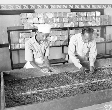 Year 1955, people working in sugar factory, processing on sugarcanes, Mandya, Mandya district, Karnataka, India. clipart