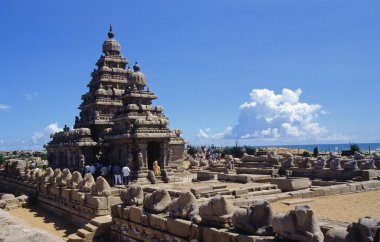 Mahabalipuram Tapınağı, Tamil Nadu, Hindistan 