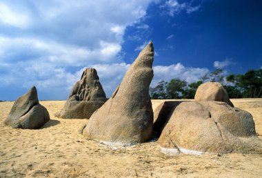 Tsunami, Mahabalipuram Mamallapuram, Tamil Nadu, Hindistan tarafından oyulmuş kaya oymaları