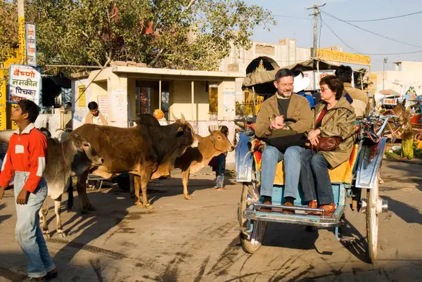 Stock image Tonga ride in Bikaner, Shekhawati Region, Rajasthan, India 