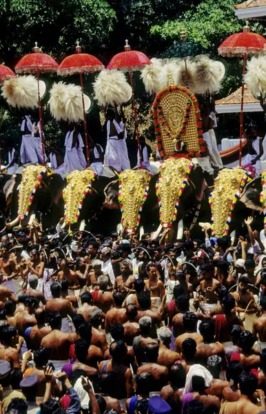 stock image Pooram Festival, Thrissur, Kerala, India 