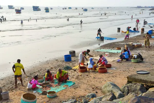 Balıkları sınıflandıran balıkçı kadınlar, Uttan Sahili, Bhayander, Mumbai, Maharashtra, Hindistan, Asya 