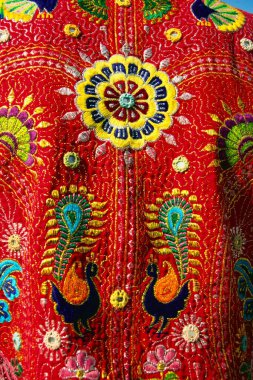 Saurashtra, Gujarat, Hindistan 'ın geleneksel el işlemeli ceketi. 
