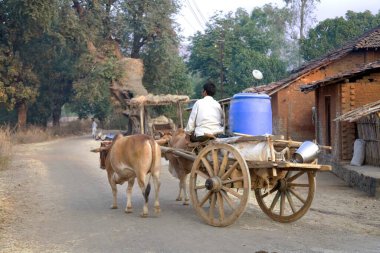 Karjat; Maharashtra; Hindistan