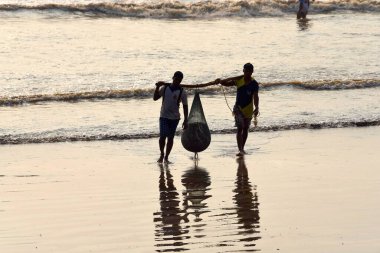 Balıkçı tekneden Uttan Sahili 'ne, Bhayandar, Mumbai, Maharashtra, Hindistan ve Asya' ya balık taşıyor.