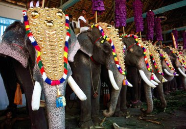 Utsavam elephant march festival, Tripunithura Cochin, Kerala, India 