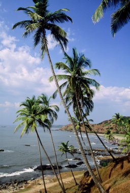 Vagator Plajı, Goa, Hindistan 