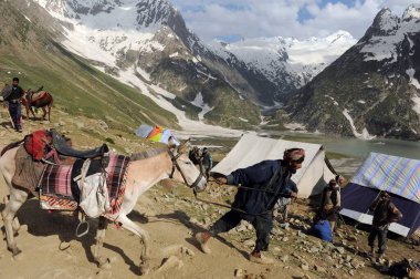 Pilgrim, amarnath yatra, jammu Kashmir, Hindistan, Asya 