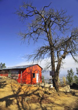 House and leafless trees at chaukori pithoragarh uttarakhand India Asia clipart