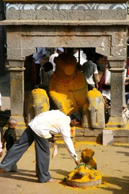 Zerdeçal tozuna batırılmış kaplumbağa ve nandi kefalet boğa heykelleri, Jejuri tapınağı, Pune, Phaltan, Maharashtra, Hindistan 