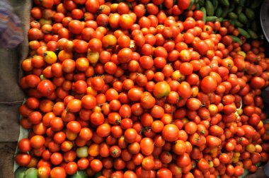 Köy pazarında domates Sundarban Batı Bengal Kalküta Hindistan Asya 