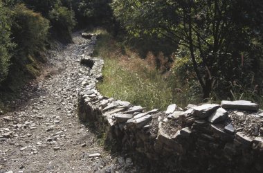 Cedar Heights Resorts yakınlarında yol, Simla yakınlarında Koti, Himachal Pradesh, Hindistan 