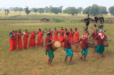 Bizon boynuz dansçıları, bastar, chhattisgarh, Hindistan, Asya