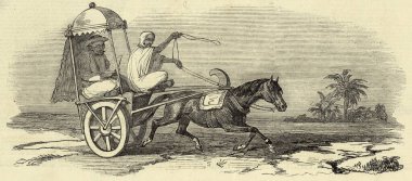 Minyatür Boyama, Yerli Hack araba yerel taşımacılığı 19. yüzyıl, Hindistan
