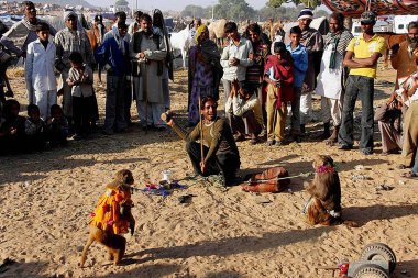 Madari, Pushkar Mela, Rajasthan, Hindistan 'da maymun gösterisi yapıyor. 