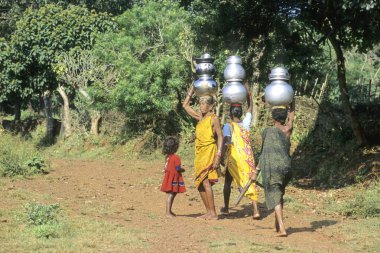 Kadınlar içme suyu taşır, Sogur, Orissa, Hindistan