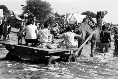 Deve arabası Sabarmati nehrinden geçiyor Vautha Fair Gujarat Hindistan 1983 Asya 
