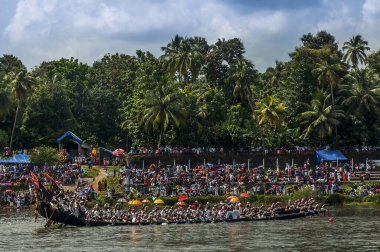 Yılan yarışı, onam festivali, kerala, Hindistan, Asya