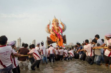 Ganpati 'nin Büyük İdol' ünü Girgaon Chowpatty Mumbai Hindistan Asya 'sında denize batırmak için sürükleyen gönüllüler.