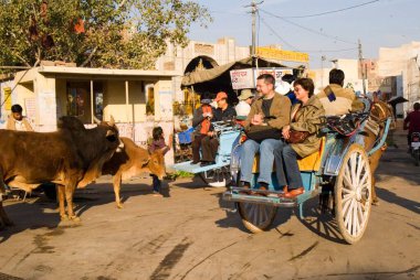 Tonga, Bikaner, Shekhawati Bölgesi, Rajasthan, Hindistan 