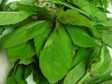 Yiyecek, Bharangi, arka planda sebzeler 