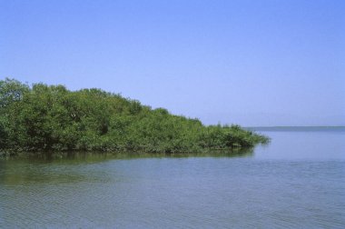 Nehir manzarası, Hindistan, doğa