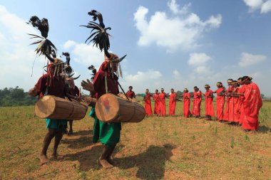 Bizon boynuz dansçıları, bastar, chhattisgarh, Hindistan, Asya