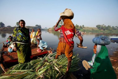 Haripur köyünden kadınlar sandallarına Sangli, Maharashtra, Hindistan 'da oturuyorlar. 