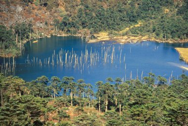 Saugetsar Gölü, Tawang, Arunachal Pradesh, Hindistan 