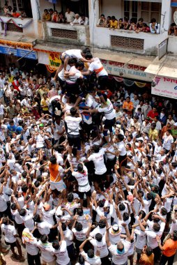 İnsan piramidi Janmashtami gokulashtami festivaline tırmanmaya çalışıyor, Bombay Mumbai, Maharashtra, Hindistan 