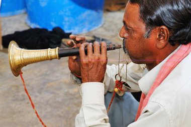 Shehnai oynayan adam, Modasa yakınlarında itadi, SabArkantha, Gujarat, Hindistan 