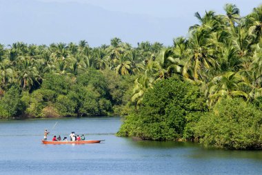 Maravanthe Kundapura Udupi Karnataka 'da yemyeşil bankaları olan Souparnika Nehri' nin durgun sularında turist botu. 