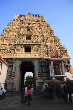 Temple kanchi kamakoti peetam sri kamakshi ambal, bölge Kanchipuram, eyalet Tamilnadu, Hindistan 