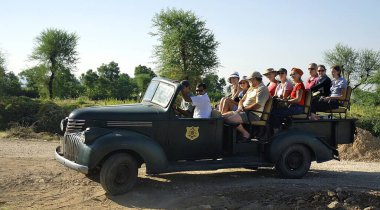 Rawla Jojawar Miras Oteli, Marwar, Rajasthan, Hindistan 'da klasik arabadaki turistler   