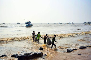 Balıkçı tekneden Uttan Sahili 'ne, Bhayandar, Mumbai, Maharashtra, Hindistan ve Asya' ya balık taşıyor.