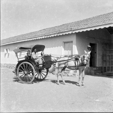 Hint tanga tonga at arabasının 1900 'lü yıllardan kalma resmi.