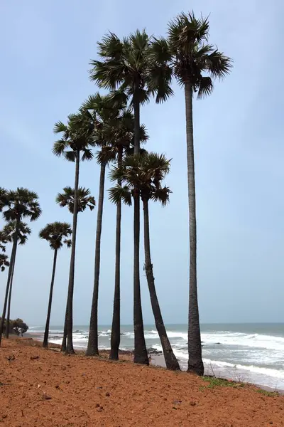 Stock image Bheemili beach near Vishakhapatnam ; Andhra Pradesh ; India