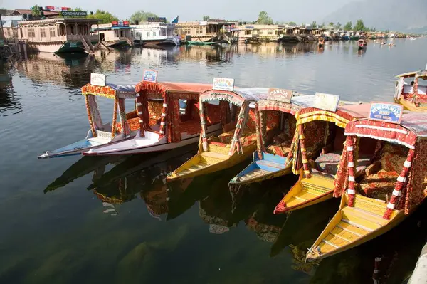 Dal Gölü kıyısında Shikara botları, Srinagar, Jammu ve Kashmir, Hindistan