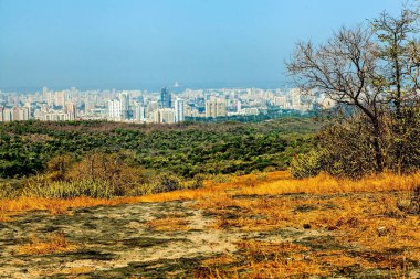 SGNP ormanı yakınlarındaki binalar, Borivali, Mumbai, Maharashtra, Hindistan, Asya