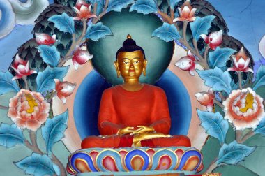 Buda putu, yakın çekim, Hindistan 