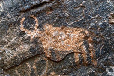 Karikkiyoor 'daki Porivarai' de tarih öncesi kaya resimleri; Nilgiris; Tamil Nadu; Hindistan