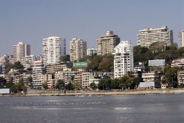 Mumbai binaları ve su üzerinde martıları olan Arap denizi manzarası Bombay Mumbai, Maharashtra, Hindistan 